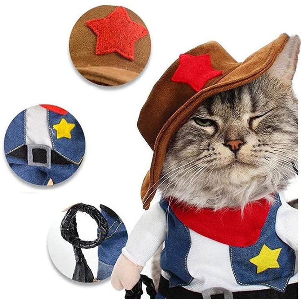 Funny Pet Halloween Costume Cowboy