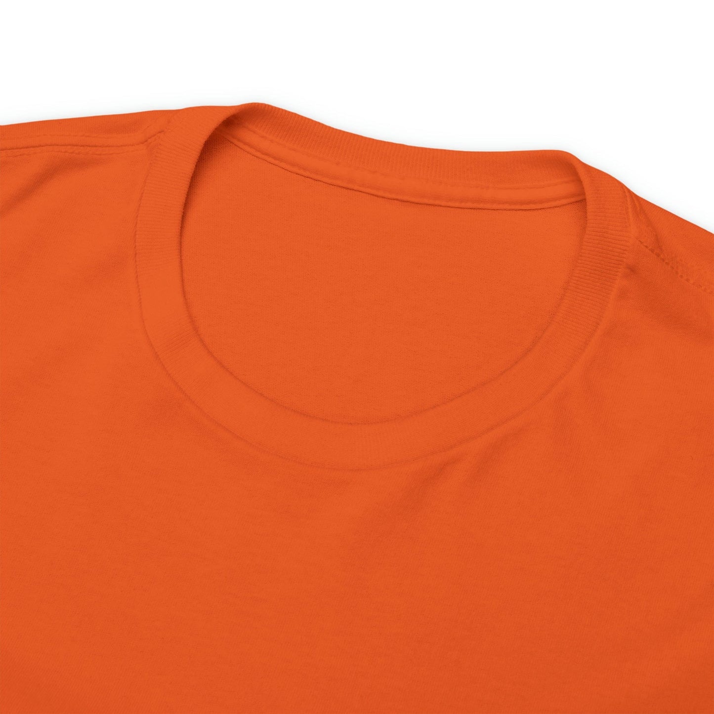 ERROR 404 Costume Not Found - Orange