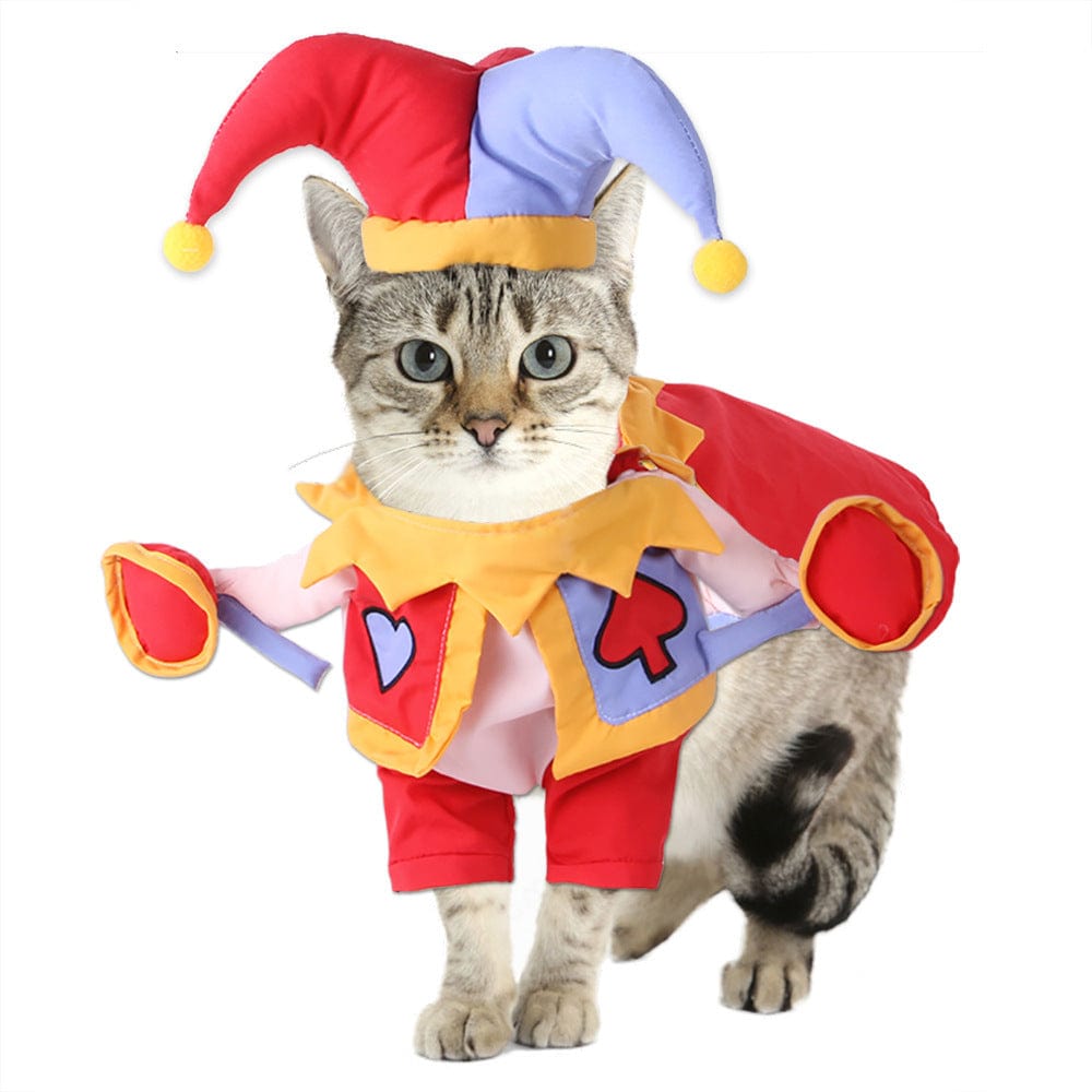 Funny Pet Halloween Costume Court Gesture