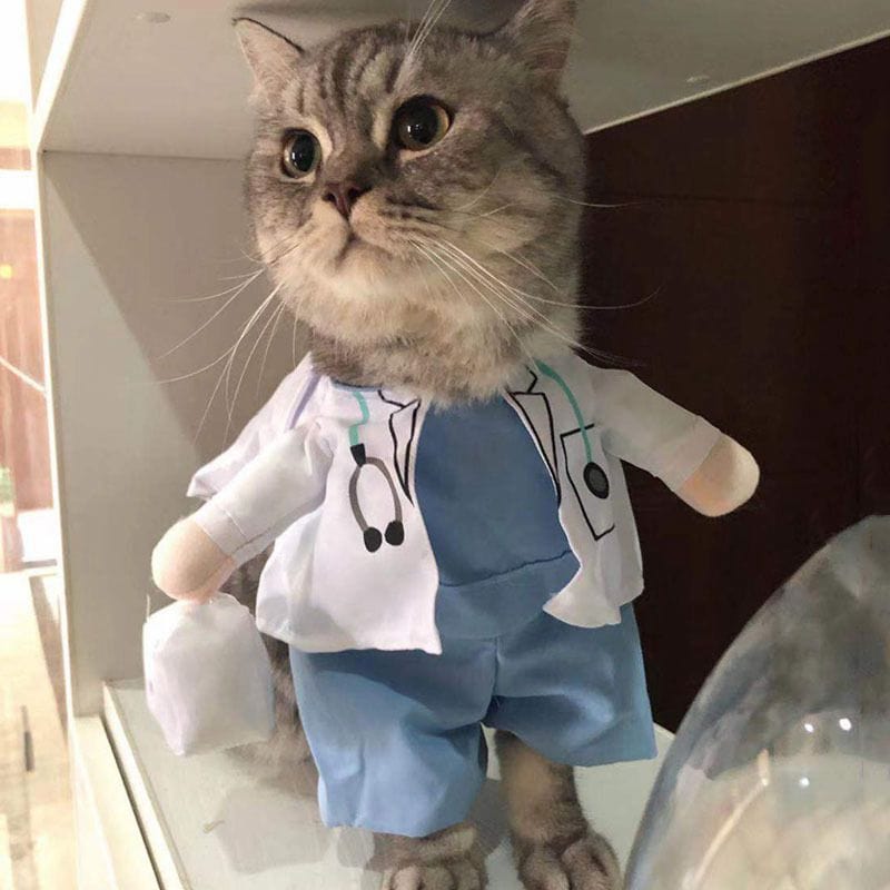 Funny Pet Halloween Costume Doctor
