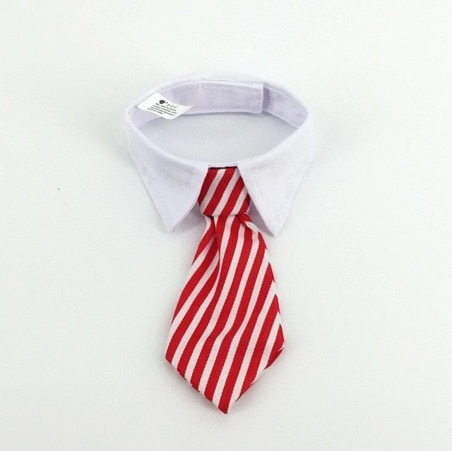 Funny Pet Halloween Costume Cat Ties
