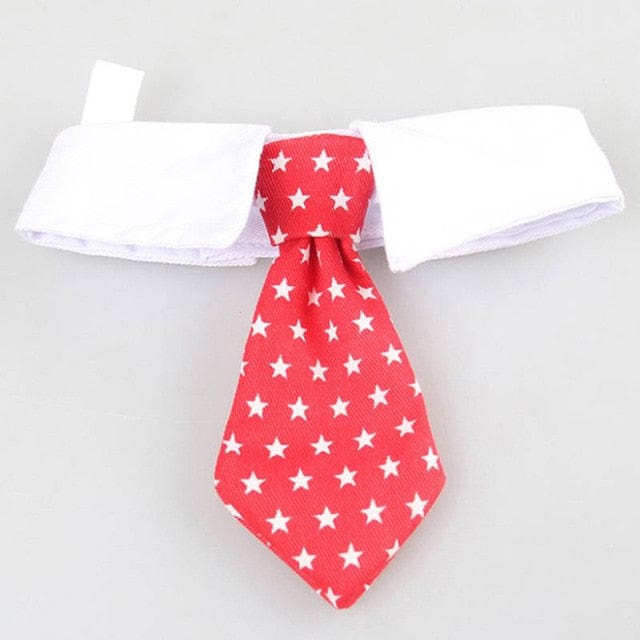 Funny Pet Halloween Costume Cat Ties