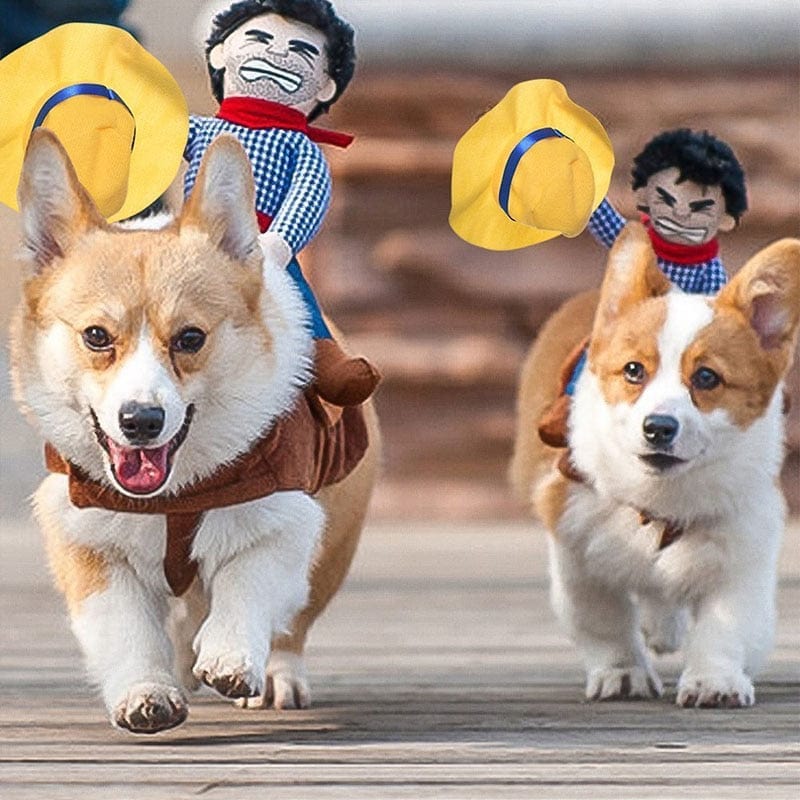 Funny Pet Halloween Costume Rodeo