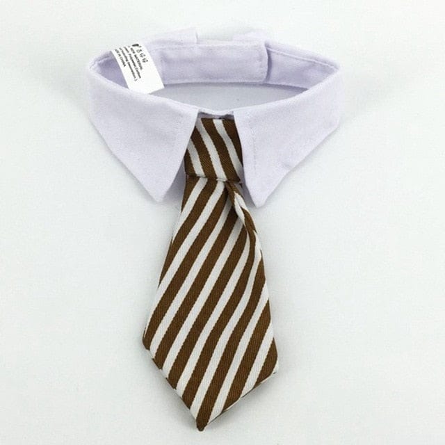 Funny Pet Halloween Costume Cat Ties