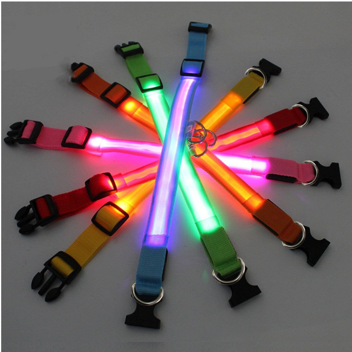 Rechargeable Led Pet Collar