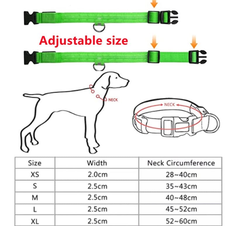 Rechargeable Led Pet Collar