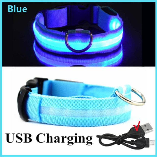 Rechargeable Led Pet Collar