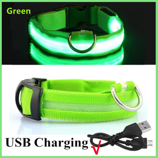 Rechargeable Led Pet Collar