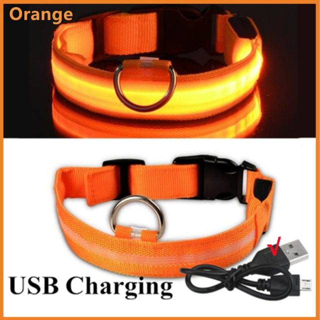 Rechargeable Led Pet Collar