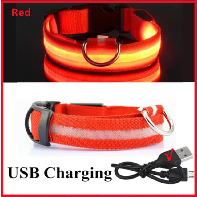 Rechargeable Led Pet Collar