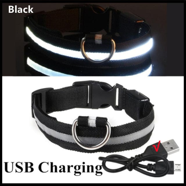 Rechargeable Led Pet Collar