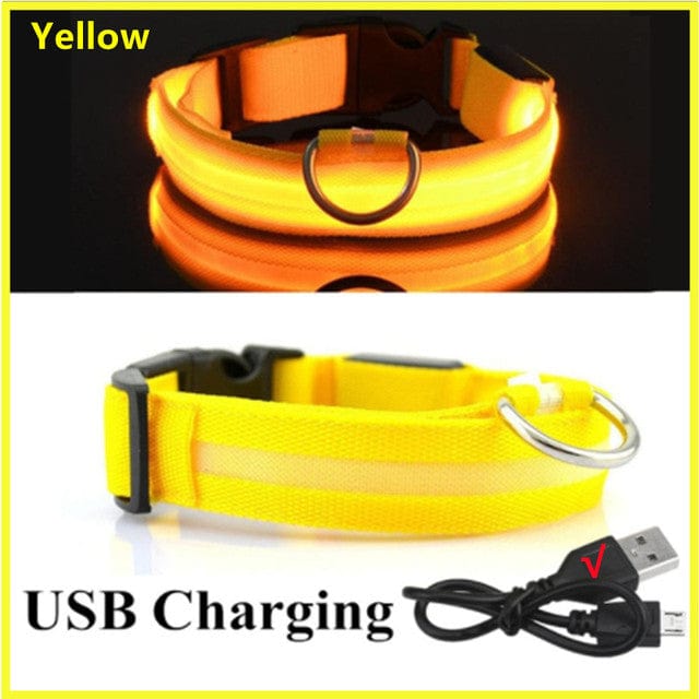Rechargeable Led Pet Collar