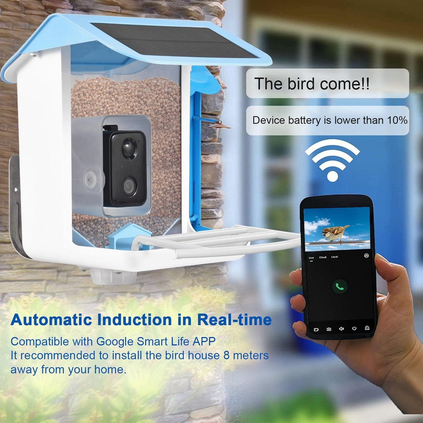 Wireless WiFi Solar Camera Bird Feeder