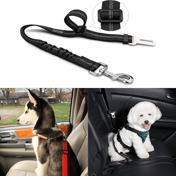 Dog Seatbelt