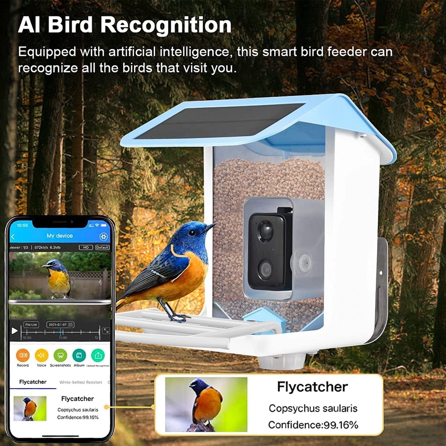 Wireless WiFi Solar Camera Bird Feeder