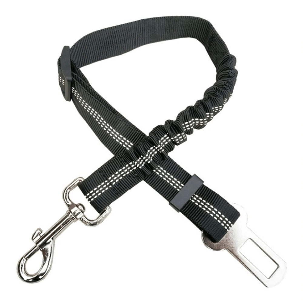 Dog Seatbelt