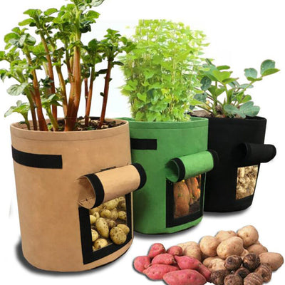 Potato Plant Easy Grow Bags for Home Garden