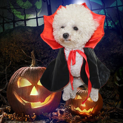 Funny Pet Halloween Costume Dracula - GiddyGoatStore
