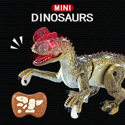 Raptor Dinosaur Remote Control RC Toy