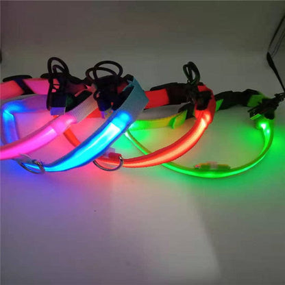 Rechargeable Led Pet Collar