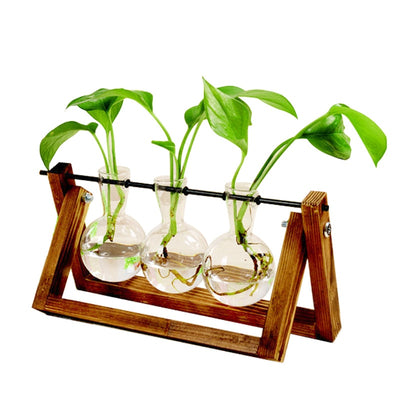 Creative Wooden Frame Transparent Vase Hydroponic Plant Decoration Vase