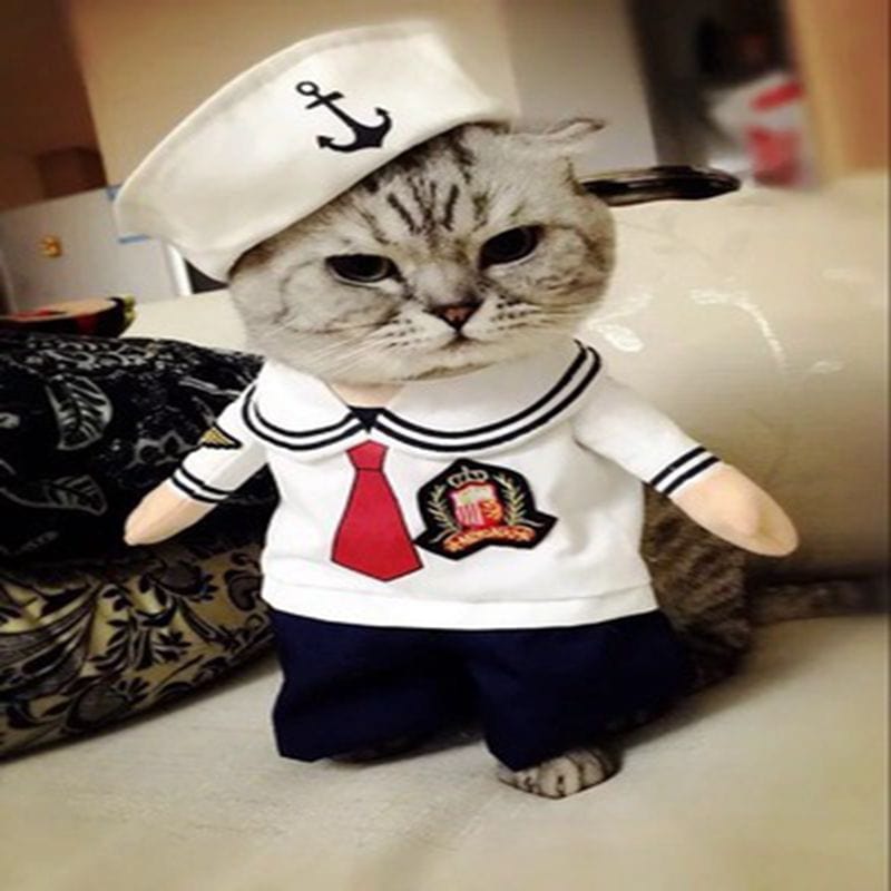 Funny Pet Halloween Costume Sailor
