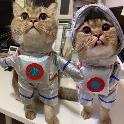Funny Pet Halloween Costume ~ Astronaut - GiddyGoatStore