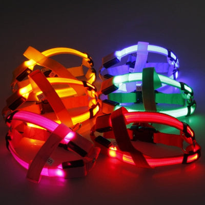 LED Pet Harness - GiddyGoatStore
