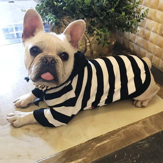 Funny Pet Halloween Costume Prisoner