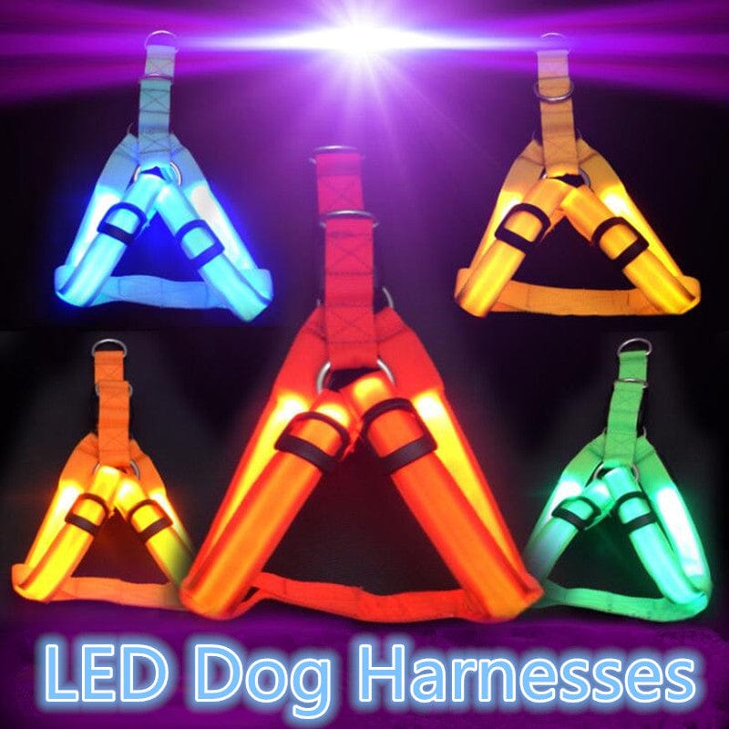 LED Pet Harness - GiddyGoatStore