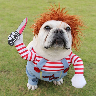 Halloween "Chucky" Dog Costume - GiddyGoatStore