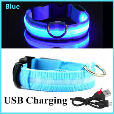 Rechargeable Led Pet Collar - GiddyGoatStore
