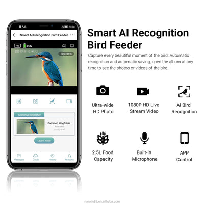 Wireless WiFi Solar Camera Bird Feeder - GiddyGoatStore