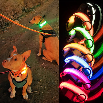 Rechargeable Led Pet Collar