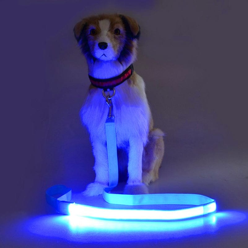 LED Pet Leash - GiddyGoatStore