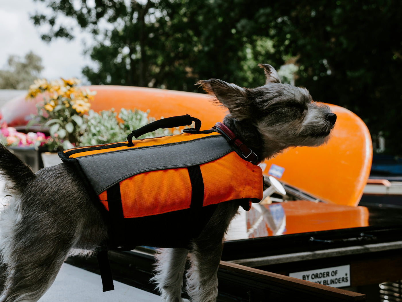 Dog Life Jacket Pet Saver