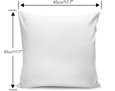 Pillow Cover - Spray Lakes - Black and White - GiddyGoatStore