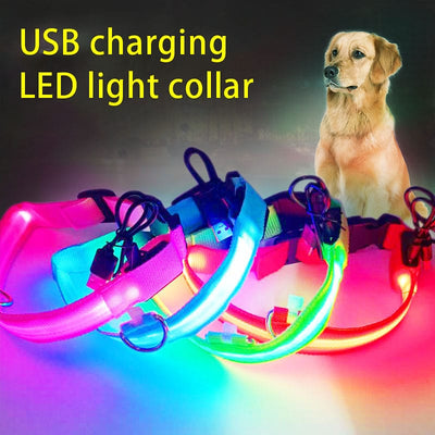Collar para mascotas con luz LED recargable (Oferta de envío gratis)