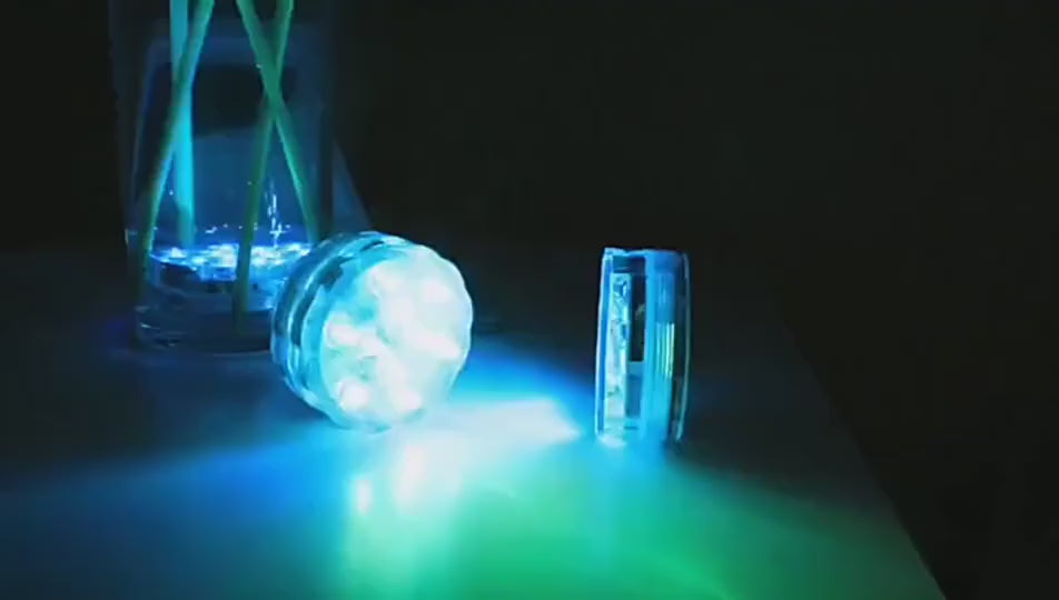 Submersible LED Light