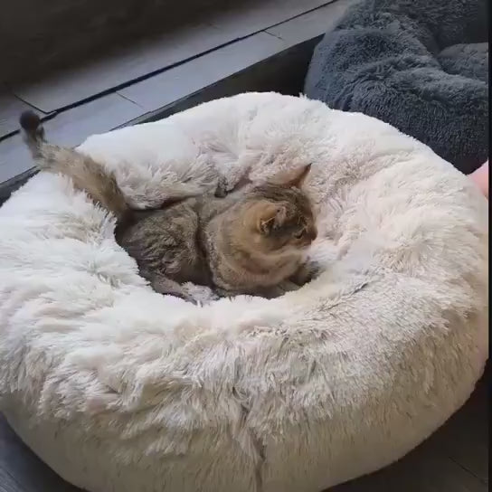 Ultra Soft Dog and Cat Cushion Bed