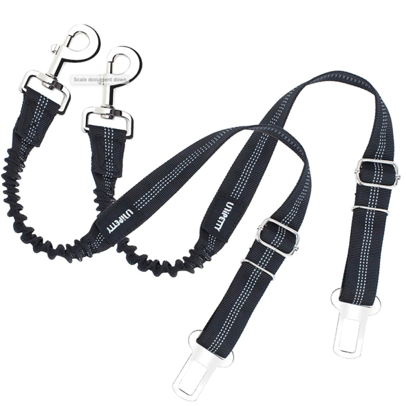 Dog Seatbelt