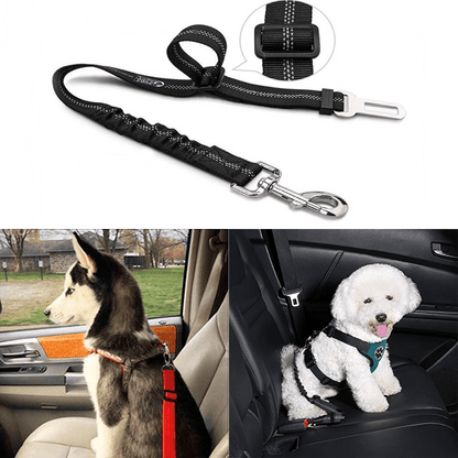 Dog Seatbelt