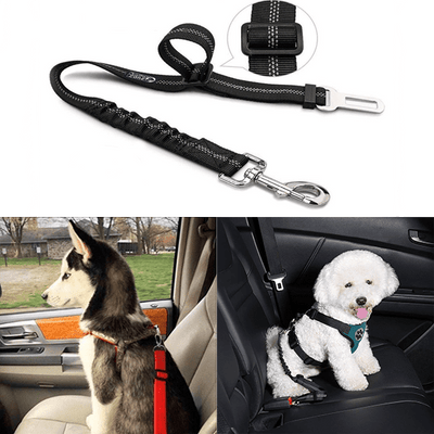 Dog Seatbelt - GiddyGoatStore