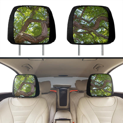 Headrest Cover - Old Growth